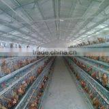 Chiken Egg Poultry Farm Equipment/chicken Cage for Sale/automatic Chicken Layer Cage thumbnail-2