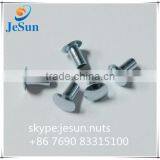 China Fastener Manufacturer Offering Fully Tubular Rivet for Brake Lining thumbnail-5