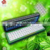 Home Garden Plant Use Grow Led Lighting Custom Led Grow Lamps thumbnail-1