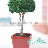 Garden Planter Pot,flower Pot,self-watering Planter,nursery Pots,Sub-irrigation System Planter Pot,Desktop Planter thumbnail-1