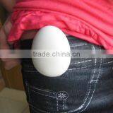 Multifunction Footstep Counter PS-2 thumbnail-1