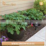 Eco Friendly Garden Felt Grow Bags Recyclable Fabric Plant Grow Bag thumbnail-1
