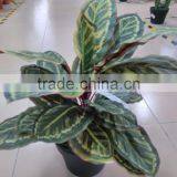 SJ12001162 Name Potted Decorative Foliage Plant Plastic Plant Indoor thumbnail-1