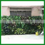 Indoor Outdoor Artificial Green Wall thumbnail-1