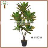 Artificial Variegated Laurel Plant Wholesale thumbnail-2