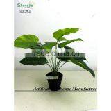 SAS201603 China Supplier Artificial Greenery Plant,Indoor Fake Ornamental Foliage Plant thumbnail-5