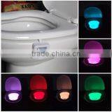 New Design and Amazing LED Motion Sensor Light Indoor for Toilet