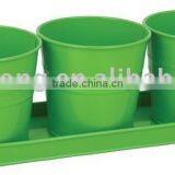 Small Flower Pot thumbnail-1