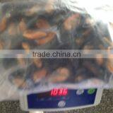 IQF Half Shell Blue Mussel thumbnail-5