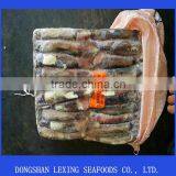 Frozen Illex Argentinus Squid Price