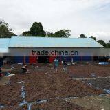 Euchema Spinosum With High Quality thumbnail-2