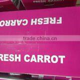 Wholesale Chinese Fresh Carrots With High Quality and Good Price thumbnail-4