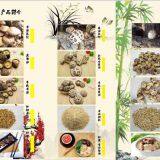 Factory Price AAA Grade White Back Dried Black Wood Ear Fungus Mushroom (Auricularia Polytricha) thumbnail-3