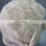 Chinese Sheep Wool Fibre Med Shade(light Grey) 21.5mic/32-34mm thumbnail-1