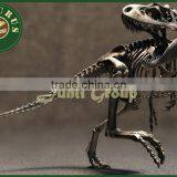 Lisaurus-I Dinosaur Skull Head Dinosaur Skull Puzzle for Dino Park Theme Park Dinosaur Skeleton Puzzles