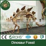 JLDF-0943 Dinosaur Exhibit Dinosaur Replica Stegosaurus Fossils