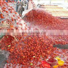Jam Production Line Processing Device Fruit and Vegetable Fruit Pulp Processing Plant thumbnail-5