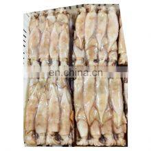 Block Frozen Whole Squid Calamari for Fishing Bait