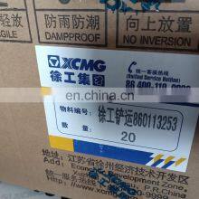 860113253*612600081334 XCMG ZL50G LW500F 5 Ton Wheel Loader Filter XCMG Fuel Filter thumbnail-4