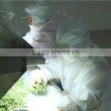 Xinghua Huarong Food Co., Ltd. company overview - view 2 thumbnail