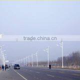 Hot Selling in USA High Intensity Solar Lamp Post thumbnail-4