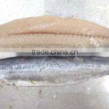 Spanish Mackerel New Filelts thumbnail-6