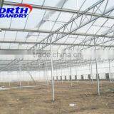 Commercial Greenhouse for Agriculture thumbnail-2