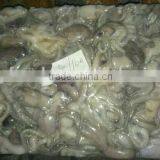 Frozen Long-legged Octopus thumbnail-1
