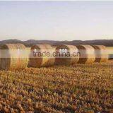 2015 New Hot Sale Bale Net, Craft Plastic Netting, Bale Wrap thumbnail-6