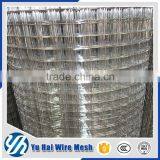 China Supplier Galvanized Welded Wire Mesh