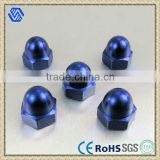 Blue Color Stainless Steel Hex Dome Cap Nuts