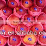 Fresh Fruits Carton Box Apples thumbnail-1