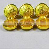 Fashion Gold Button