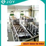 Auto-floating Washing Machine for Fruit and Vegetable