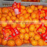 Citrus Fruit Baby Mandarin Orange thumbnail-1