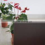 5mm Tempered Glass Coffee Silkscreen Printing With AS/NZS2208:1996, BS6206, EN12150 Certificate thumbnail-2