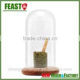 Bell Jar With Wooden Base Clear Glass Dome Stand thumbnail-5