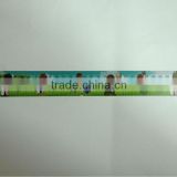 promotional scale ruler