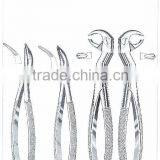 English Pattern Tooth Extracting Forceps Set Dental Instruments