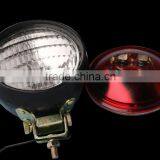 Auto Light thumbnail-1