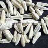 Hot Salt Roasted Sunflower Seeds to Sell in China Quality Choice thumbnail-5