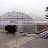 Greenhouse for Horticultural Greenhouse for Vegetable Green Houses Material thumbnail-2