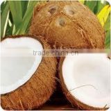 fresh mature husked Coconut