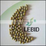 Green Mung Beans 2016 Crop Wholesale Best Quality thumbnail-1