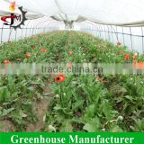 Agricultural plastic flower tunnel greenhouse