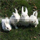 Easter Bunny Furry Animal Cheap Easter Gift Bunny thumbnail-6