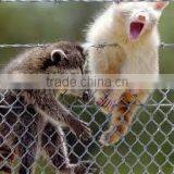 Barbed Wire Galvanized Steel thumbnail-3