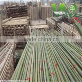Natural Strong Bamboo Poles