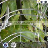 Green Vinyl Coated Welded Wire Mesh Fence thumbnail-1