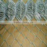 Good Price Chain Link Fence Netting thumbnail-3